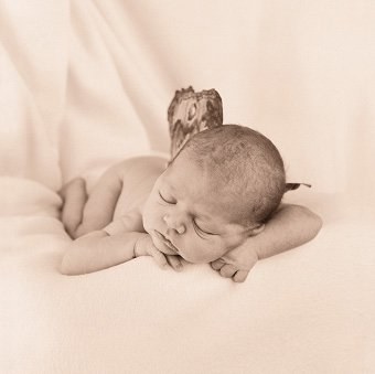La magie de l&rsquo;adoption