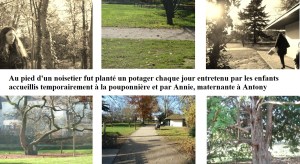 Le parc arboré d'Antony