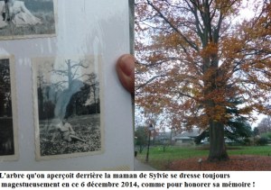 Georgette au pied de l'arbre